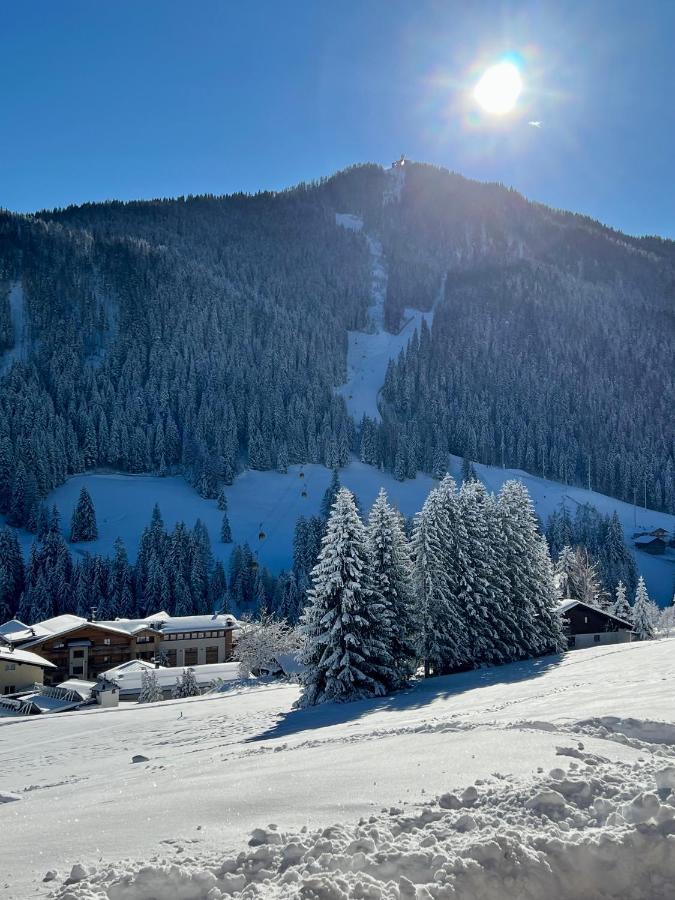 Surrounded By Green - Luxury Chalet At The Foot Of The Dolomites Daire La Villa  Dış mekan fotoğraf
